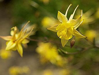 《子弹风暴》开发商又裁员 取消了两款未公布游戏